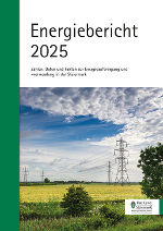Titelbild des Energieberichtes 2025 mit Hochspannungsleitungen auf einem blühenden Rapsfeld.