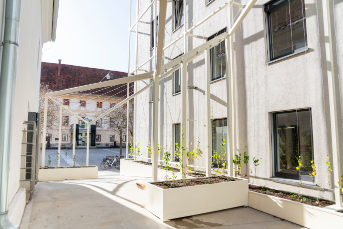 Fassadenbegrünung am Karmeliterhof: Weiße bepflanzte Blumentröge mit einer Vorrichtung, wo Pflanzen an der Fassade hinaufklettern.